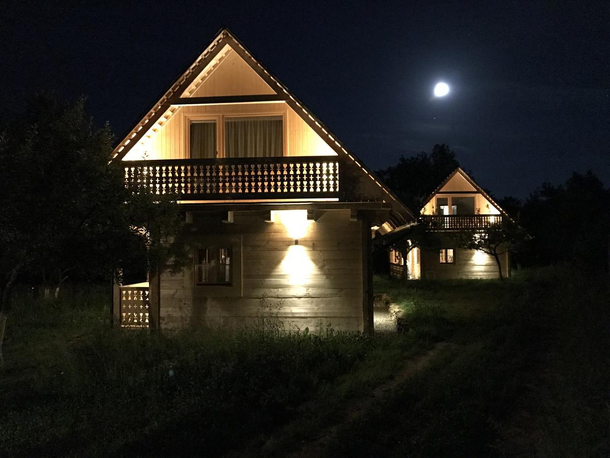 Magnolia Resort Chalets Vişeu de Sus 외부 사진