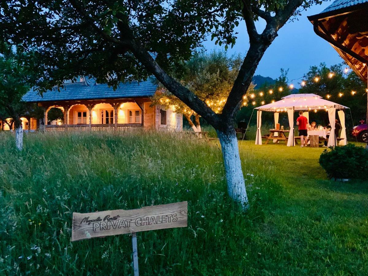 Magnolia Resort Chalets Vişeu de Sus 외부 사진